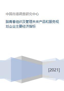腦青春 企業(yè)管理服務(wù)與未來產(chǎn)品規(guī)劃的核心經(jīng)濟指標解析